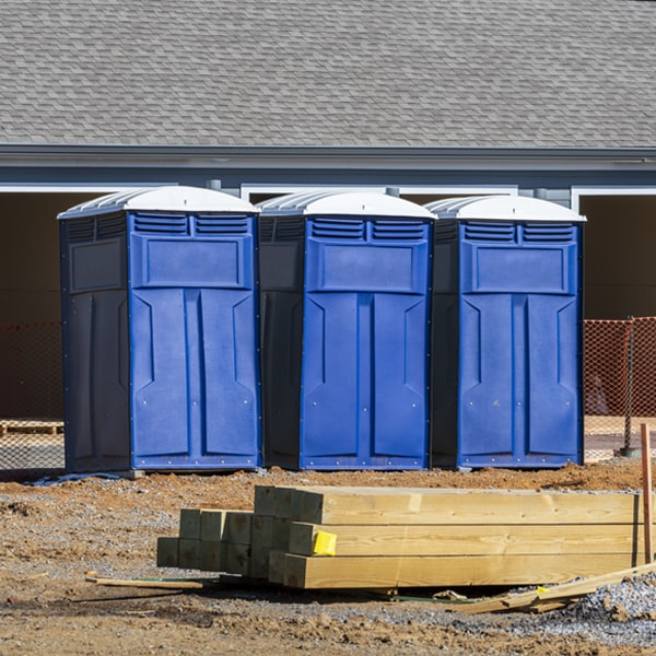 are there different sizes of portable restrooms available for rent in Davenport New York